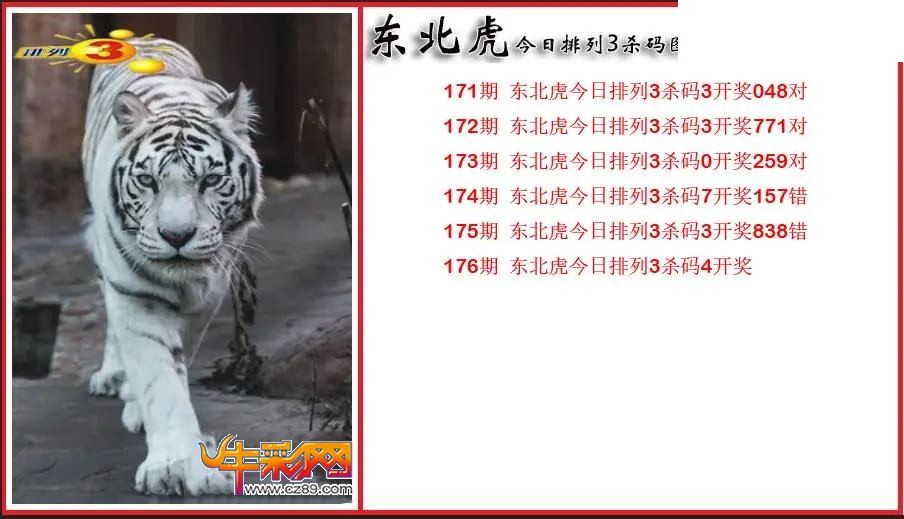 2026176期P3东北虎通杀一码图
