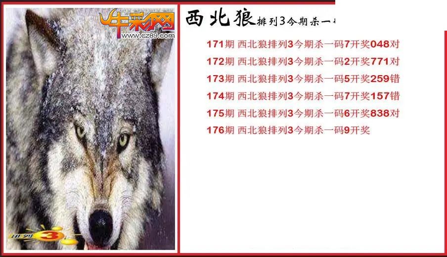 2026176期P3西北狼杀一码图
