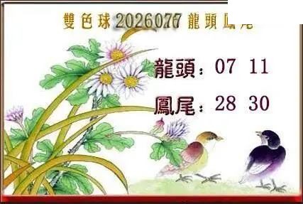 天吉鸟语断蓝26年077期双色球系列图