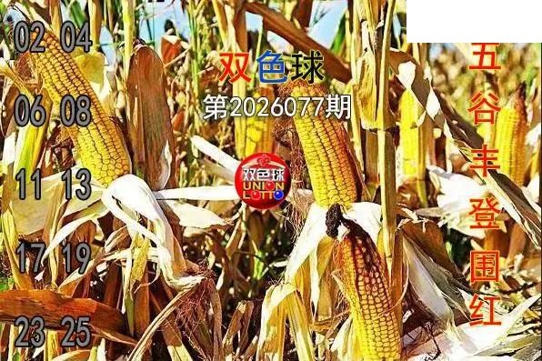 双色球2026年图迷077期 五谷丰登围红图