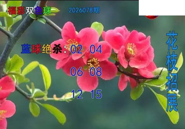 双色球2026年图迷078期 花枝招展蓝球绝杀图