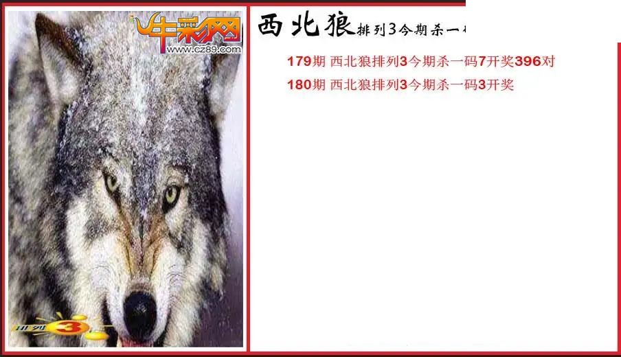 2026180期P3西北狼杀一码图