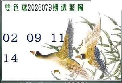 天吉鸟语断蓝26年079期双色球系列图
