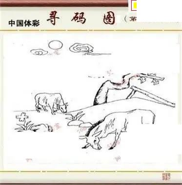 体彩P32026年182期 5188系列全图谜