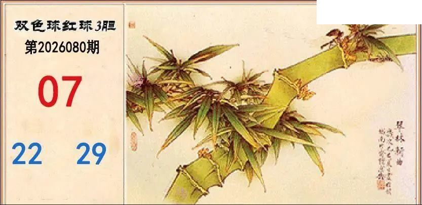 2026年080期双色球字迷图谜汇总