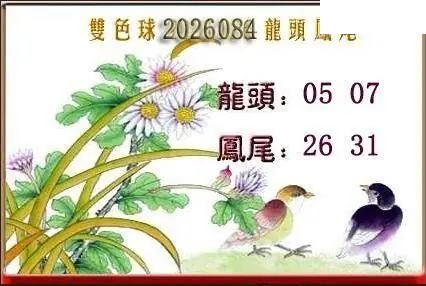 天吉鸟语断蓝26年084期双色球系列图