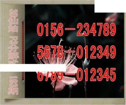 仙姑分解式26年193期体彩P3图谜