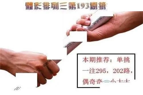 体彩P32026年193期 接力图