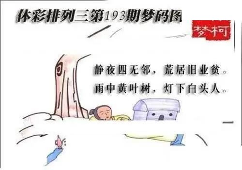 体彩P32026年193期 梦码图