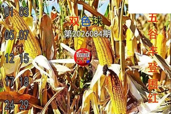 双色球2026年图迷084期 五谷丰登围红图