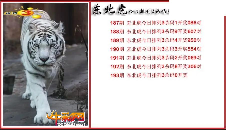 2026193期P3东北虎通杀一码图
