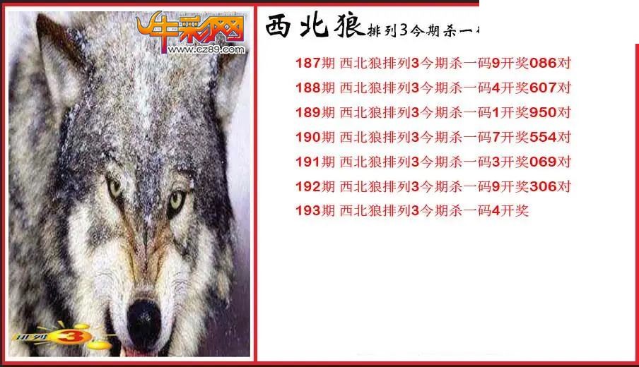 2026193期P3西北狼杀一码图