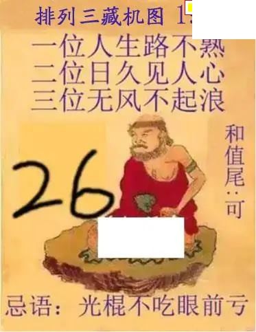 真藏机图26年193期体彩p3图谜