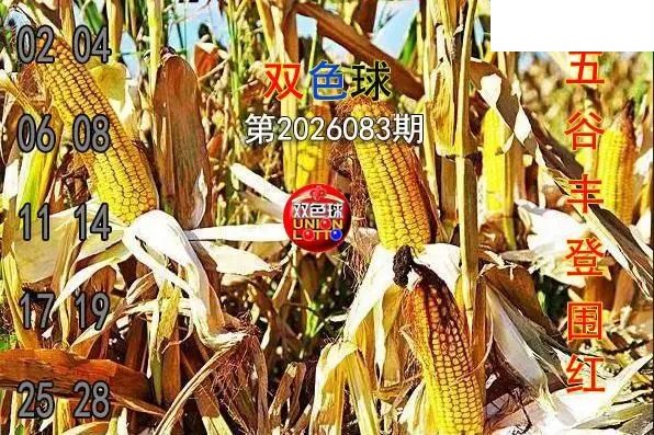 双色球2026年图迷083期 五谷丰登围红图