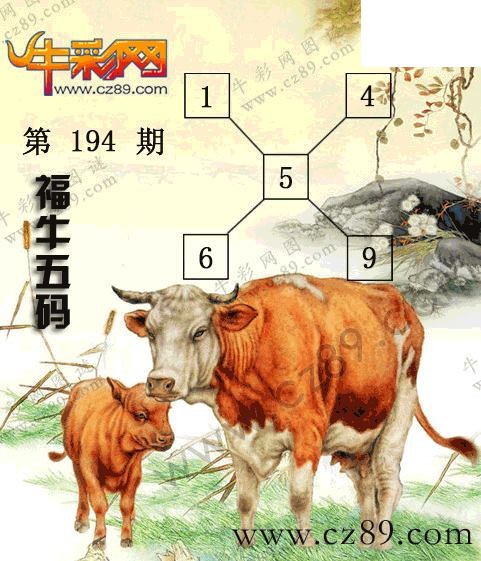 2026194期3d图迷汇总（六）