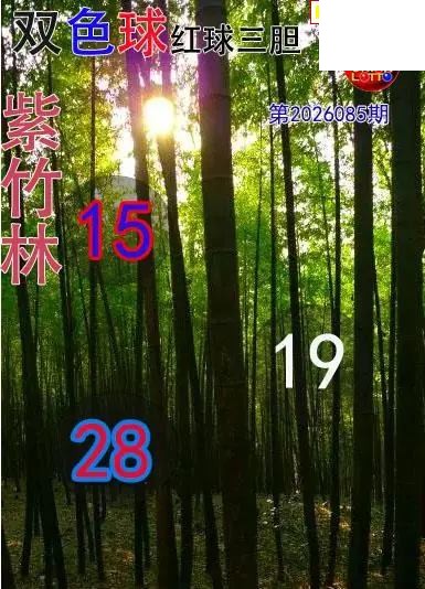 双色球2026年图迷085期 紫竹林红球三胆图