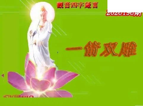 体彩P32026年196期 天霁密宗图谜