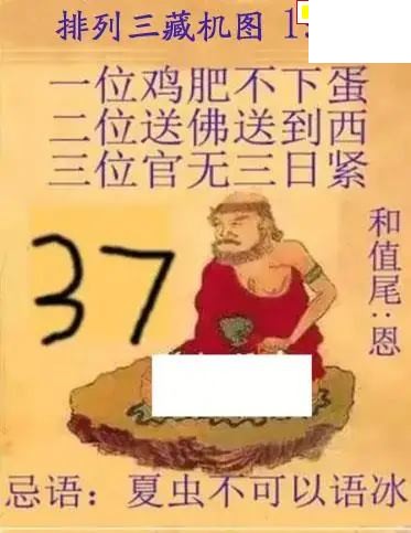 真藏机图26年196期体彩p3图谜