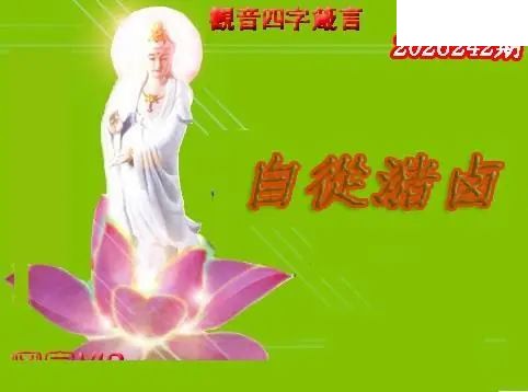体彩P32026年242期 天霁密宗图谜